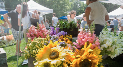 FLOWERS FROM ZINKE’S HOMEGROWN, CANAAN, AT NORFOLK MARKET. BY BRUCE FRISCH.